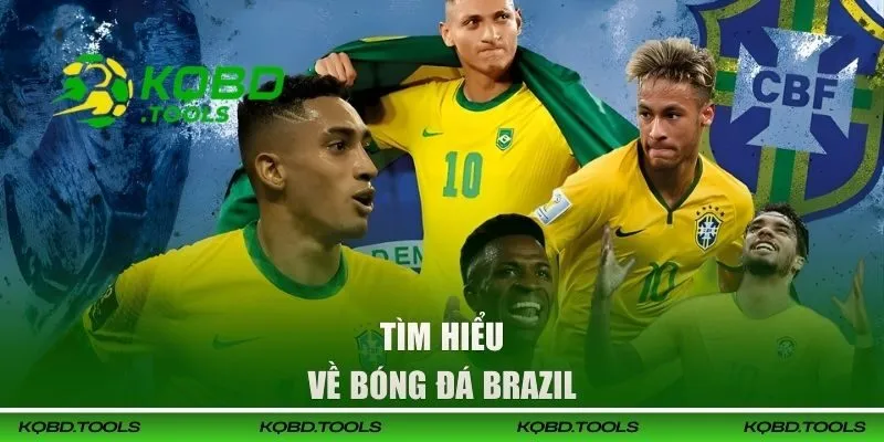 Tìm hiểu về bóng đá Brazil
