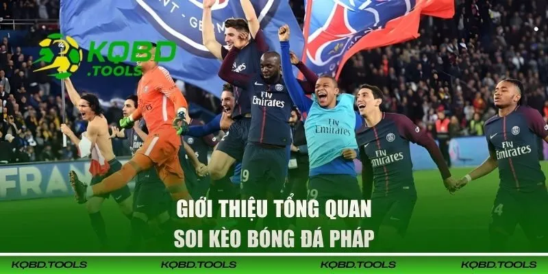 Giới thiệu về soi kèo bóng đá Pháp