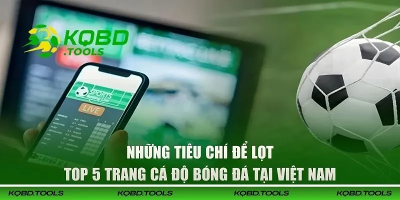 Những tiêu chí để lọt top 5 trang cá độ bóng đá tại Việt Nam