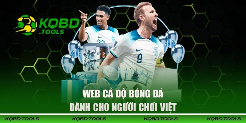 Web Cá Độ Bóng Đá