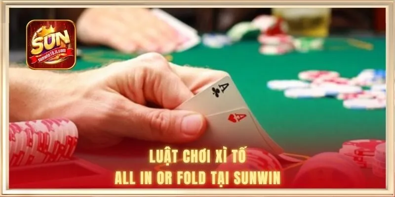 Poker All In Or Fold Sunwin | Tựa Game Ăn Khách Bậc Nhất 2026 2 Luật chơi Xì Tố all in or fold tại Sunwin