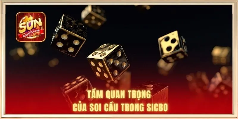 Cách Soi Cầu Tài Xỉu Đảm Bảo Tỷ Lệ Thắng Cao Hơn 90% 3 Tầm quan trọng của soi cầu trong Sicbo